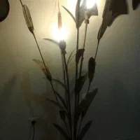 آباژور