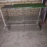 قفس|لوازم جانبی حیوانات|اشتهارد, |دیوار