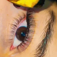 کاشت و آموزش مژه