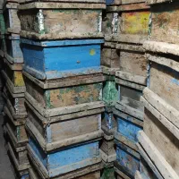طبق چنین طبق زنبور