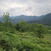 ۵۰۰متر خونه روستای/بدون مشابه و مشرف