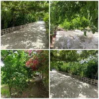 باغ برای عکاسی