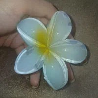 کلیپس پلومریا به صرفه