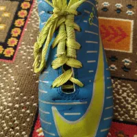 کفش رو چمن تمییز جنس خوب سایز ۳۶