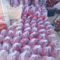 فروش کپسول های آتش نشانی. پودری. co2 نقد و اقساط