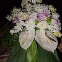 دسته گل  باکس طبیعی