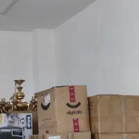 کارتن