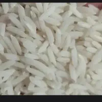 برنج شیرودی طارم تالش