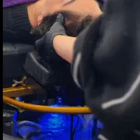 اجاره  اتاق برای لاین اسکالپ سر