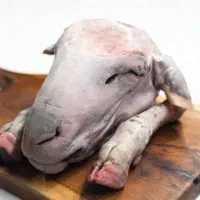 کله پاچه