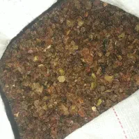 کشمش آبگیری