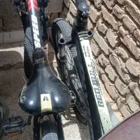 دوعدد دوچرخه حرفه ای