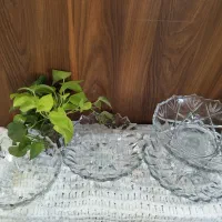 ظروف مخصوص باغ