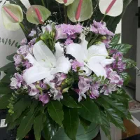سبد گل طبیعی هدیه