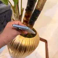 iPhone 13pro|موبایل|پرند, فاز ۶|دیوار