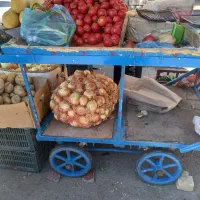 چرخ تافی  برای میوه فروشی