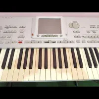 korg pa1x pro elite|پیانو، کیبورد، آکاردئون|رشت, نیکمرام|دیوار
