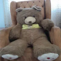 عروسک خرس