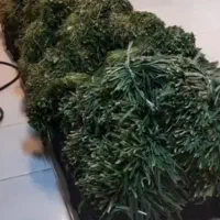 سبزی خورشتی