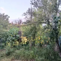 ۶۰۰ متر زمین مسکونی در زمیدان
