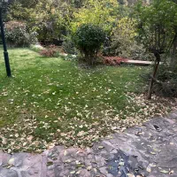 ۱۵۵۰ متر زمین استثنایی لواسان نارون