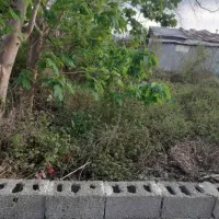 فروش زمین/کوی اساتید/فروش