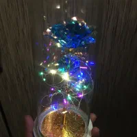 فلکسی شیشه ای تک گل چراغدار