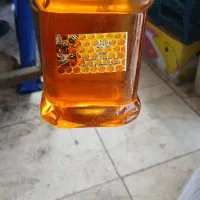 عسل