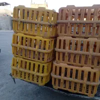 قفس مرغی فروشی