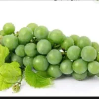 غوره تازه ترش و درشت آماده برای آب گیری