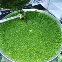 سبزی
