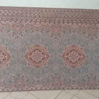 تشک  شاه نشین  در رنگ های زیبا