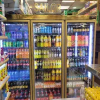 یخچال ۳ درب موتور دانفوس آلمان