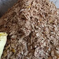 ضایعات کتاب ونان خشک