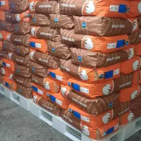 پذر پنبه مای وارداتی