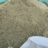 کاه یونجه بذری