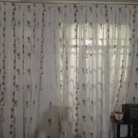 پرده‌|پرده، رانر، رومیزی|تربت جام, اسماعیل آباد|دیوار