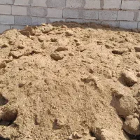 کود گوسفندی
