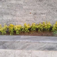 خدمات‌ باغبانی‌ در‌ سراسر‌ تهران