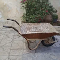 فرغون