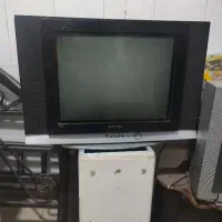 تلویزیون