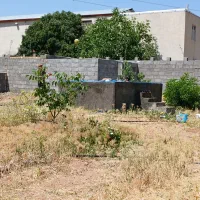 زمین کشاورزی معاوضه با خودرو