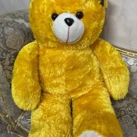 خرس یک متری
