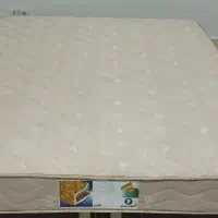 تشک رویا درحدنو