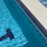 آموزش تخصصی شنا ویژه بانوان