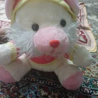 عروسک پولیشی