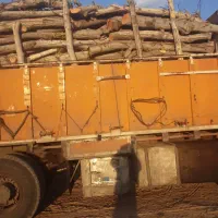 خرید و فروش انواع چوب