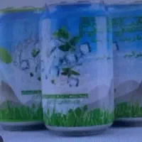 کارشناس فروش و بازاریاب بومی استان کرمان
