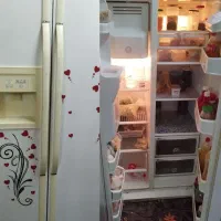 یخچال ساید