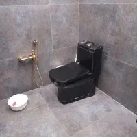 نصب شیرالات نصب توالت فرنگی و... سراسر تهران